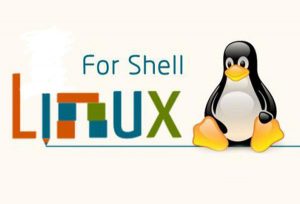 Linux-shell编程