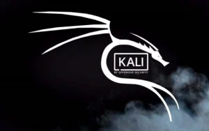 kali渗透